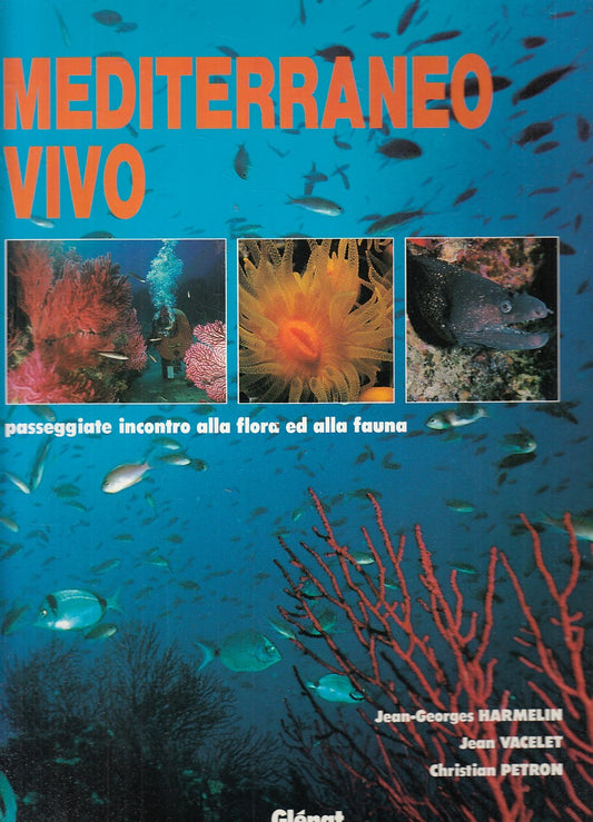 LZ- MEDITERRANEO VIVO FLORA FAUNA FOTOGRAFIE -- GLENAT --- 1987 - CS - YFS791