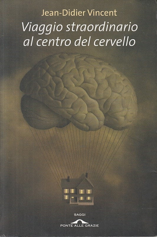 LZ- VIAGGIO STRAORDINARIO CERVELLO- VINCENT- PONTE GRAZIE--- 2008- B- ZFF196