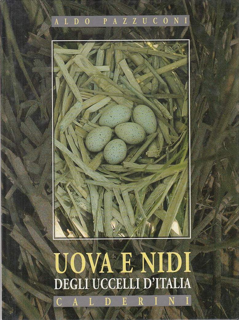 LZ- UOVA E NIDI UCCELLI D'ITALIA - PAZZUCONI - CALDERINI --- 1997 - C - YFS849