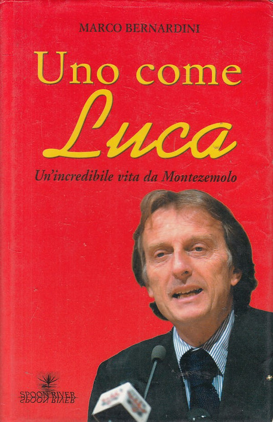 LS- UNO COME LUCA VITA DA MONTEZEMOLO -- SPOON RIVER --- 2004 - CS - ZFS219