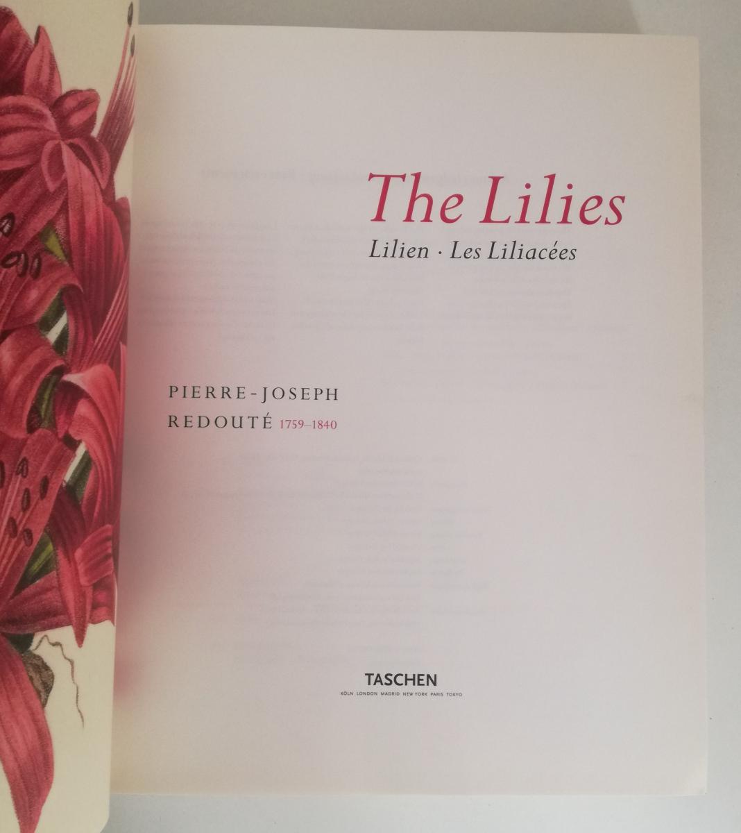 LZ- THE LILIES. LILIEN. LES LILIACEES - REDOUTE' - TASCHEN --- 2000 - CS- YFS894